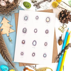 Tiny Eggs