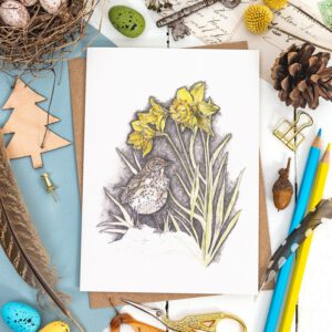 Songthrush and Sunlit Daffodils