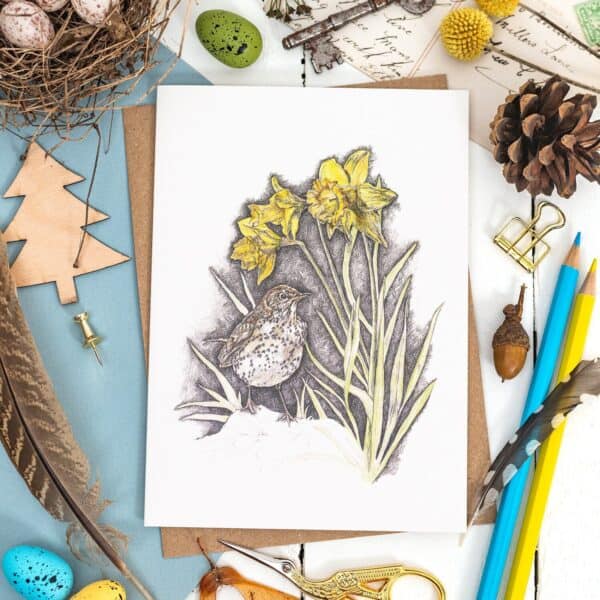 Songthrush and Sunlit Daffodils