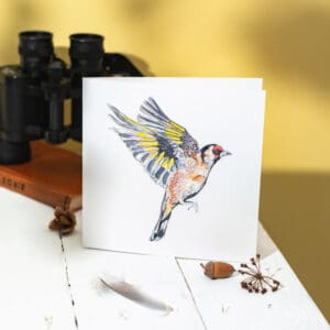 Joyous Goldfinch