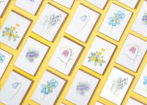 Dandelion - Image 3