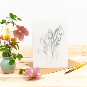 Snowdrops