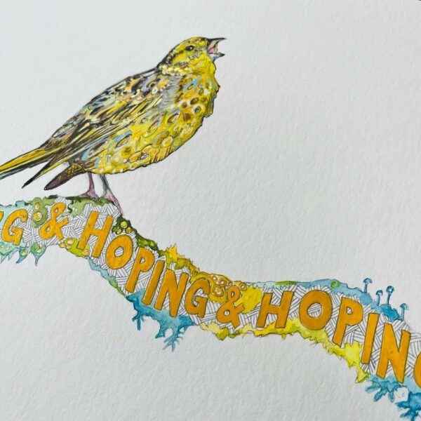 Hoping and Hoping and Hoping (Yellowhammer singing atop Lomond Hill‘s skyline twig - Image 5