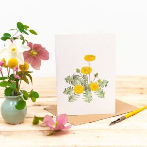 Dandelion