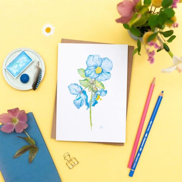 Meconopsis - Image 3
