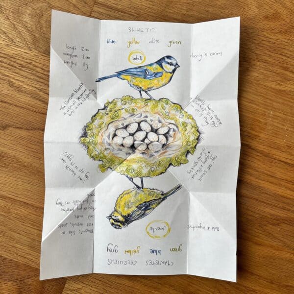 BLUETIT Birdhouse Artists Book - Image 5