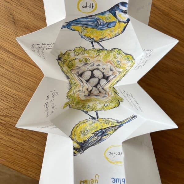 BLUETIT Birdhouse Artists Book - Image 8