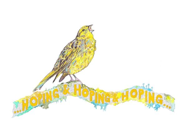 Hoping and Hoping and Hoping (Yellowhammer singing atop Lomond Hill‘s skyline twig - Image 6