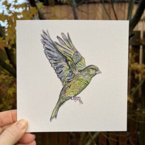GLORIOUS GREENFINCH