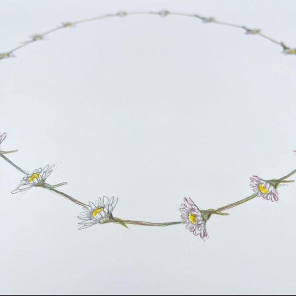 Daisychain Surrounded - Image 8