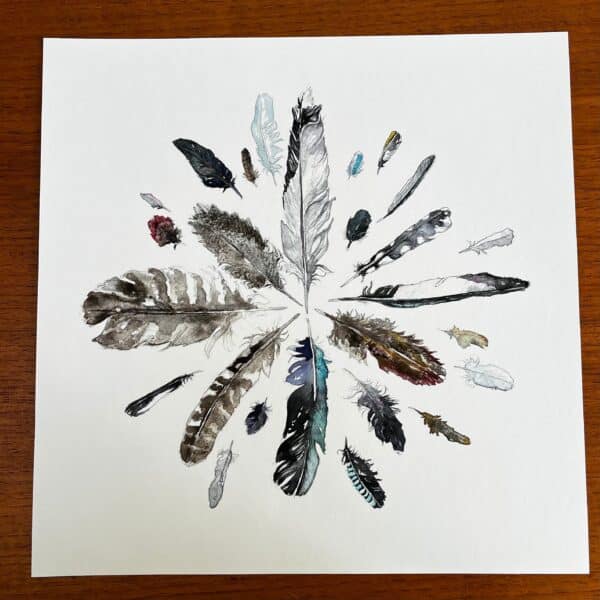 Feathers Surrounded 2022 - Image 5