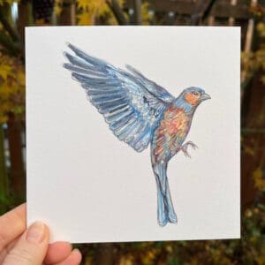 CHARMING CHAFFINCH
