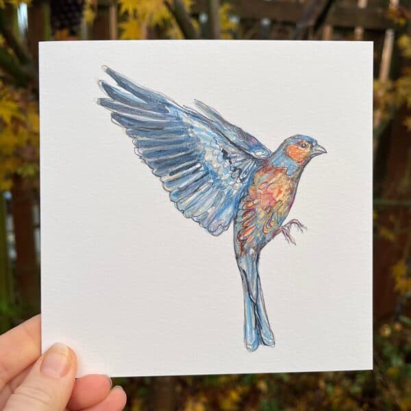 CHARMING CHAFFINCH