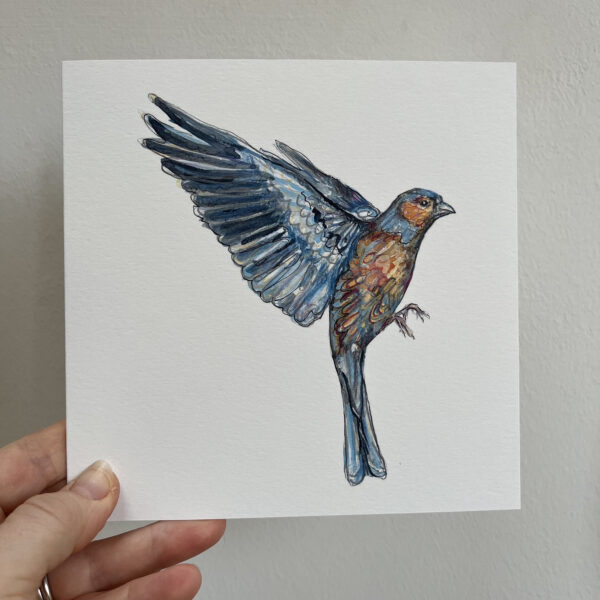 CHARMING CHAFFINCH - Image 4