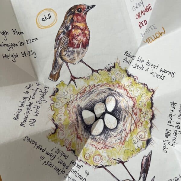ROBIN Birdhouse Artists Book - Image 10