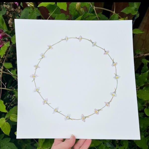 Daisychain Surrounded - Image 5