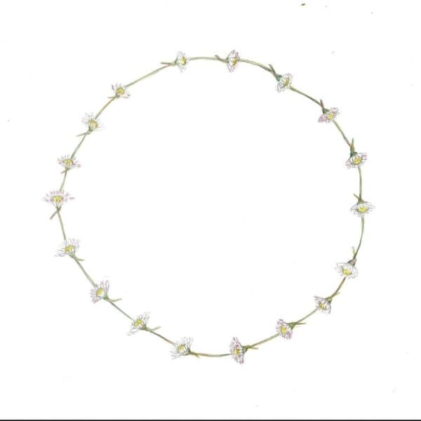 Daisychain Surrounded - Image 7