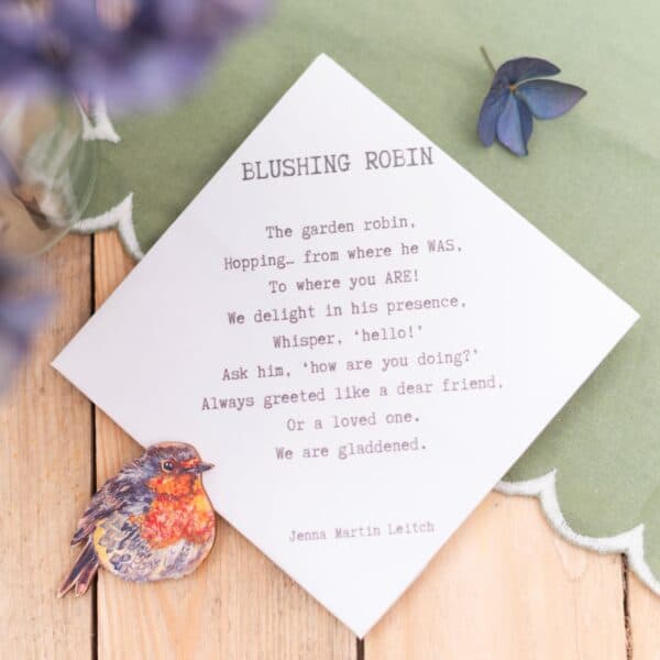 Blushing Robin Brooch - Image 5