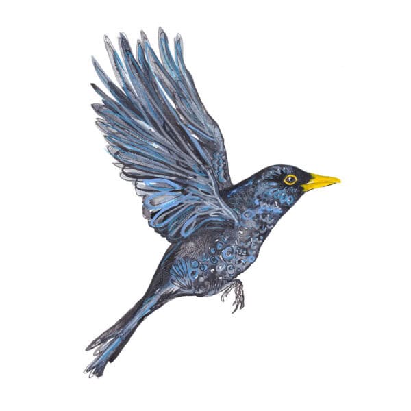 Bright Eyed Blackbird Card - Image 6