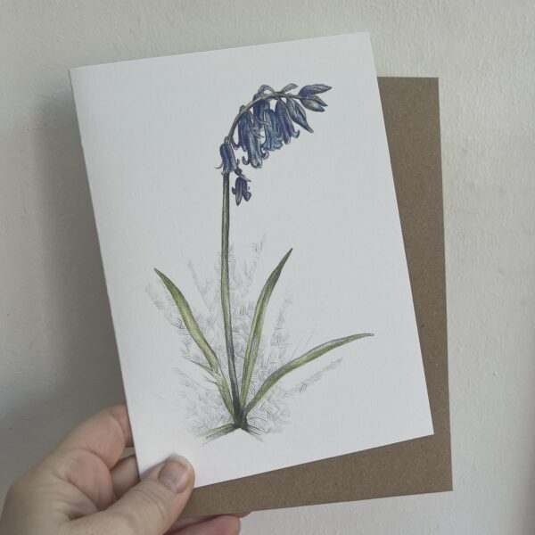 Bluebell of Scone Greetings Card - Image 2