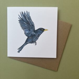 Bright Eyed Blackbird Card