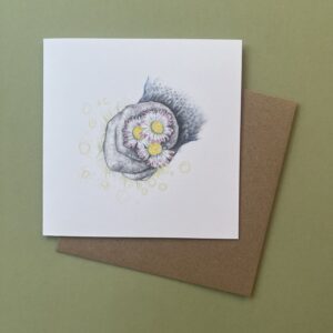 Loves Me... Loves Me Not... Greetings Card