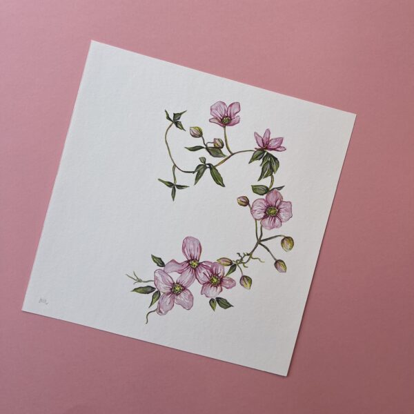 Clematis In Bloom Fine Art Giclée Print - Image 2