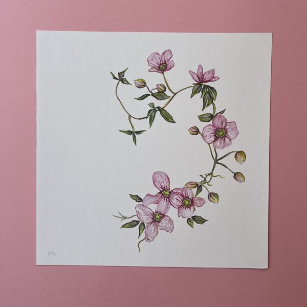 Clematis In Bloom Fine Art Giclée Print - Image 3