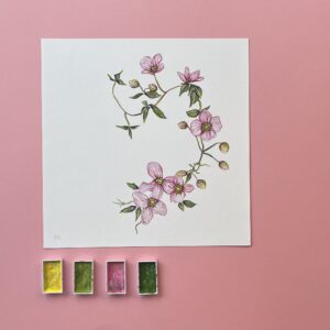 Clematis In Bloom Fine Art Giclée Print