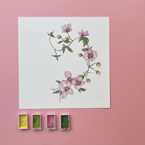 Clematis In Bloom Fine Art Giclée Print