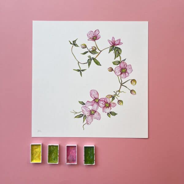 Clematis In Bloom Fine Art Giclée Print - Image 5