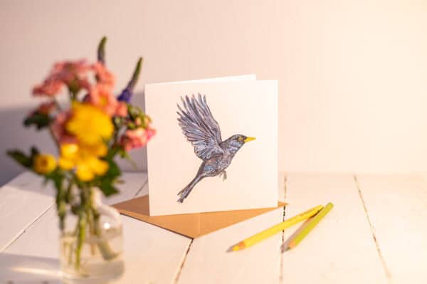 Bright Eyed Blackbird Card