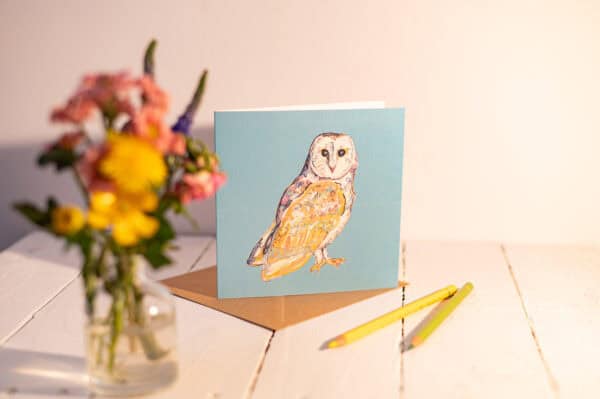 Wide Eyed Wonder (Barn Owl) Greetings Card (Copy)