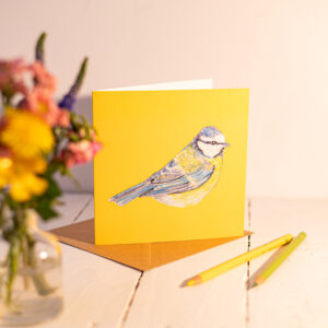 A Hopeful Soul (Bluetit) Greetings Card