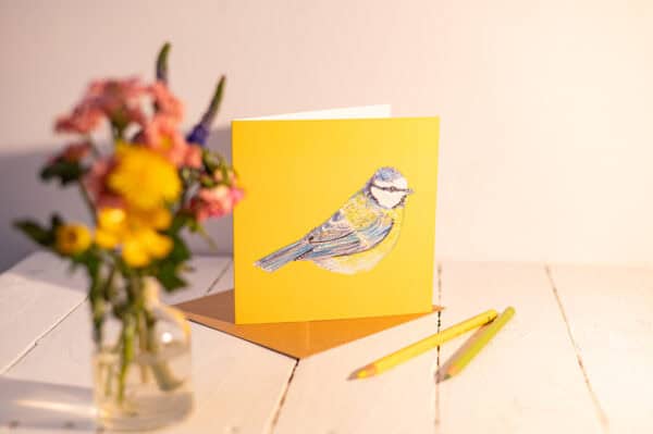 A Hopeful Soul (Bluetit) Greetings Card