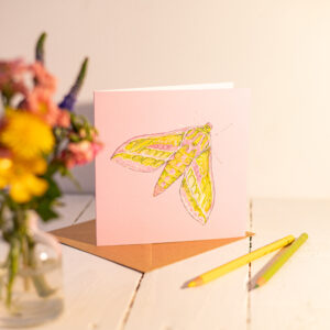 Elephant Hawk Moth Greetings Card