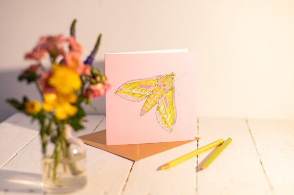Elephant Hawk Moth Greetings Card