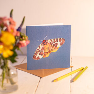Garden Tiger Moth Greetings Card