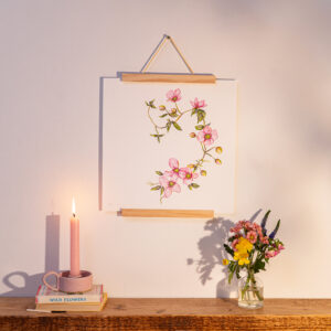 Clematis In Bloom Fine Art Giclée Print