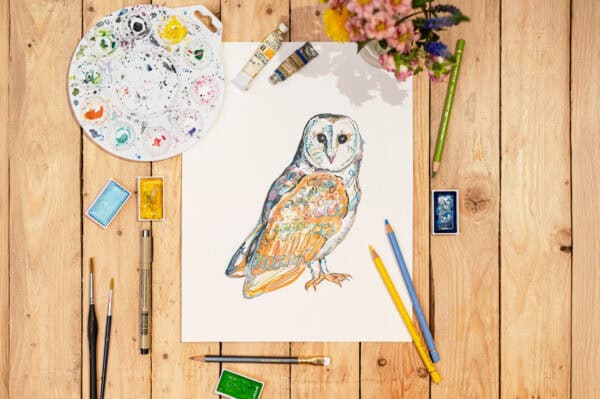 Wide Eyed Wonder (Barn Owl) Greetings Card (Copy) - Image 3