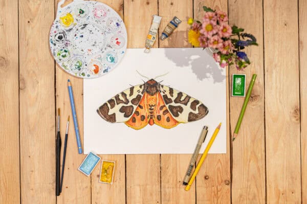 Garden Tiger Moth Greetings Card - Image 3