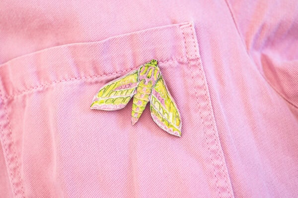 Elephant Hawk Moth Brooch - Image 4