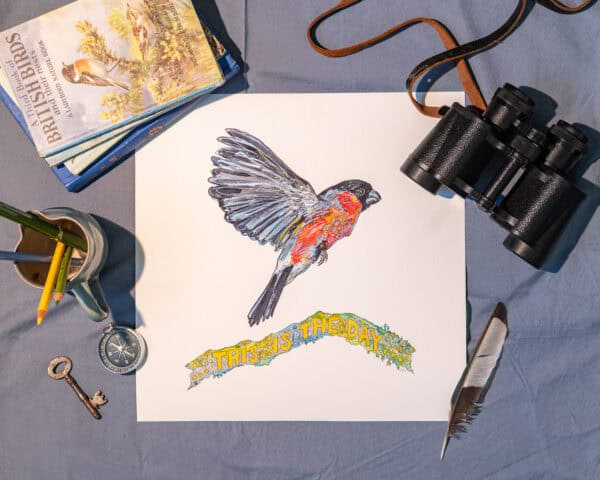 This Is The Day... (Bullfinch taking flight above Norman's Law Skyline Twig)