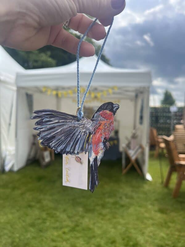 A Bobby-Dazzler of a Bullfinch - Image 3