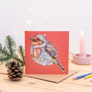 Bobble Robin Greetings Card