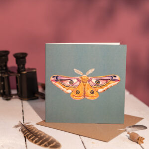 Emperor Moth Greetings Card